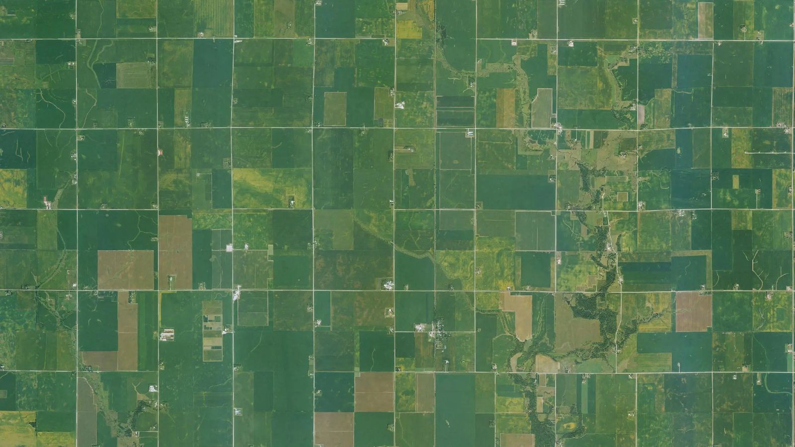 Aerial view of Iowa farmland divided into one-mile survey sections, fields in early-summer green with a creek winding across the grid